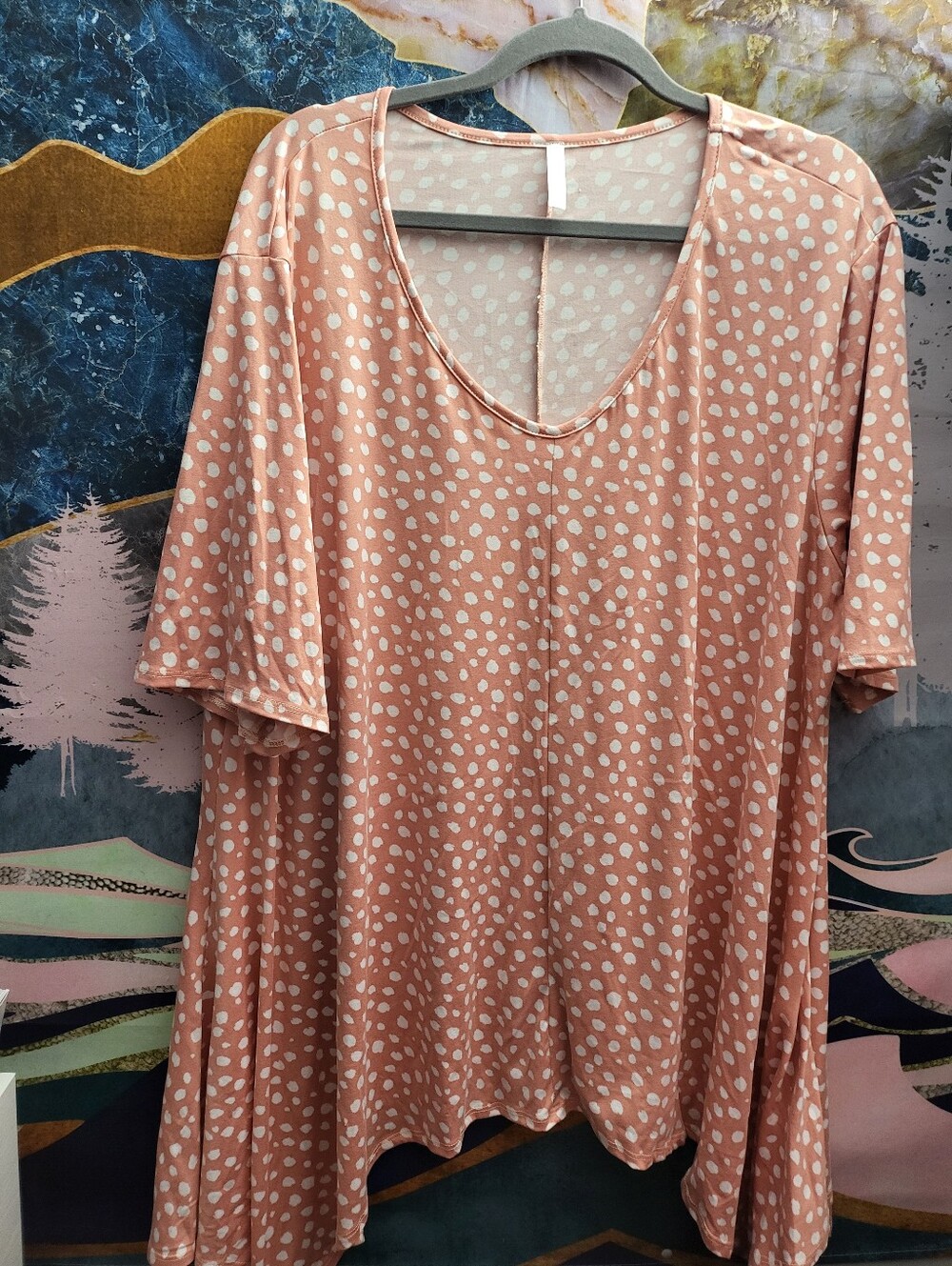 NWOT Soft V-Neck Polka Dot Tunic Top - Blush Pink